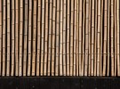 Bamboo Screen
