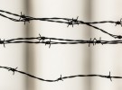 Barbed Wire