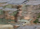 puddle...