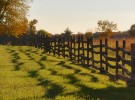 fence