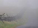 fencing with the fog