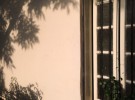 Shadows by the Window