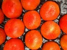 Tomatoes