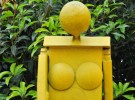 Yellow Woman