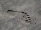 Footprint in the sand