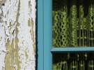 White Paint, Green Curtain