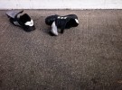 Abandoned shoes