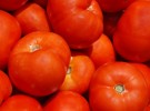 Tomatoes